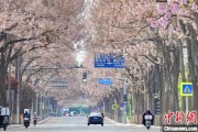 金昌共建“花园城市” 北京这场议政会“百花齐放”