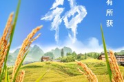 金昌芒种节气小知识来了 夏种作物都有什么？